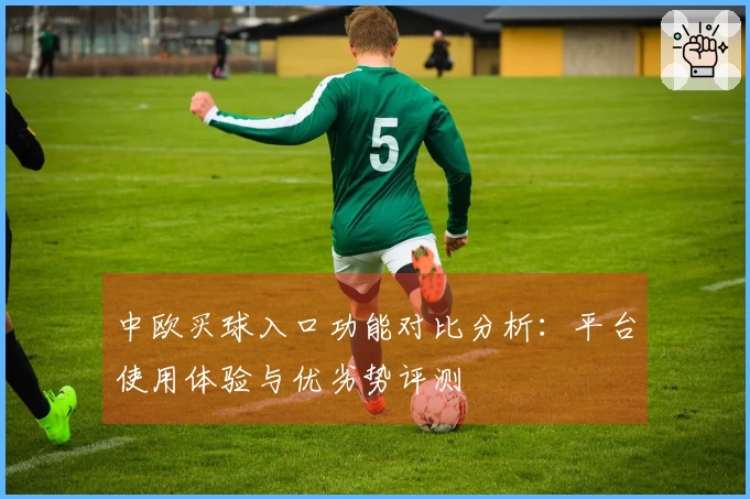 中欧买球入口功能对比分析：平台使用体验与优劣势评测